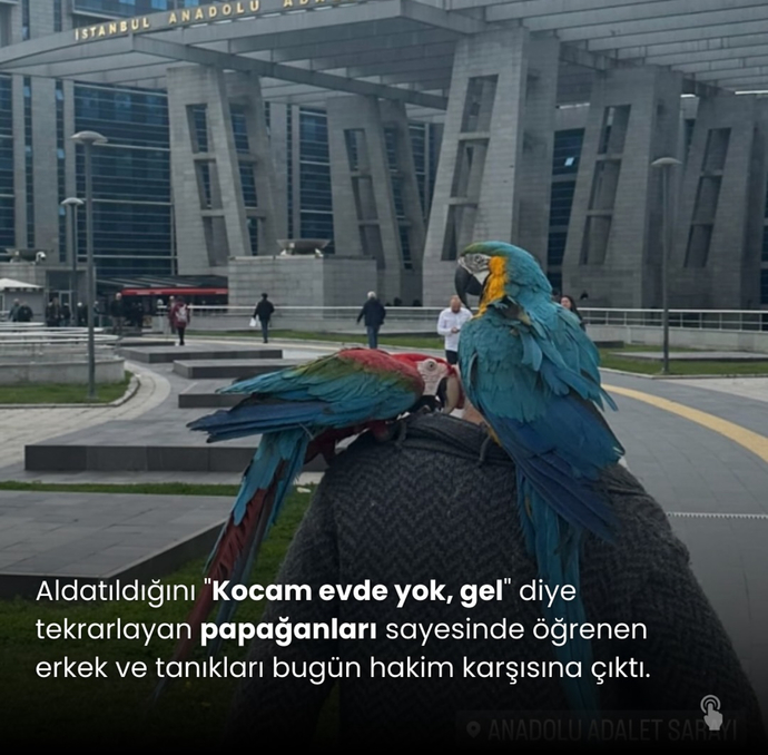 kocam evde yok gel diye kocasını aldatan kadının hikayesine ne diyorsunuz :) ?