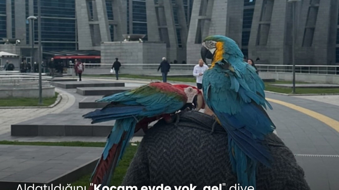 " kocam evde yok gel" diye kocasını aldatan kadının hikayesine ne diyorsunuz :) ?