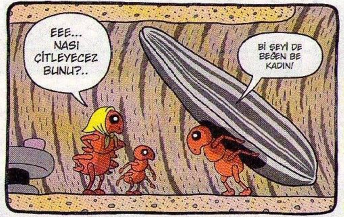 Karıncalarla nasıl baş edilir?