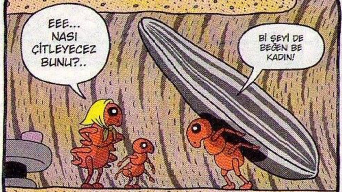 Karıncalarla nasıl baş edilir?