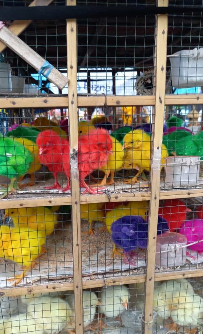 Benimkiler ölmüştü 🥲