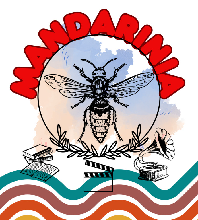 Mandariniadan seçmelere hazır mısın KScan?