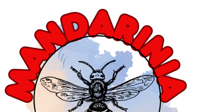 Mandarinia'dan seçmelere hazır mısın KScan?