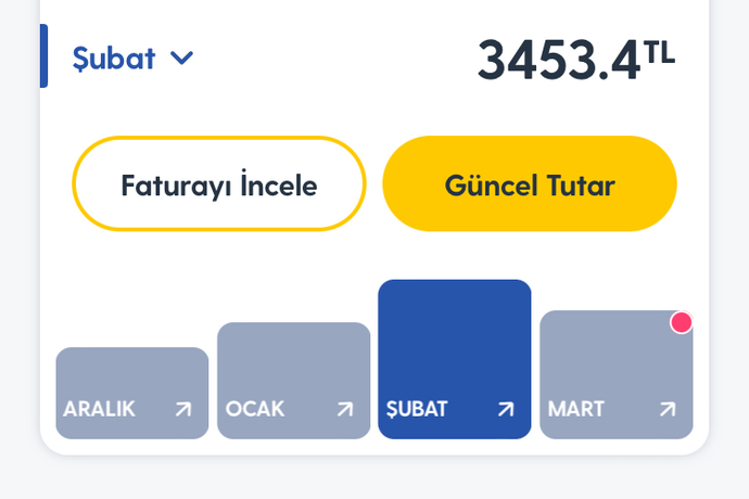 Telefon faturanız ne kadar?
