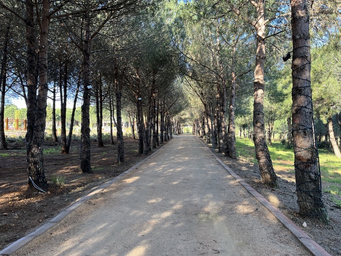 Sabahları olmazsa olmazın nedir?