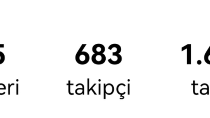 Bu Instagram bilgileri bir şey ifade ediyor mu?