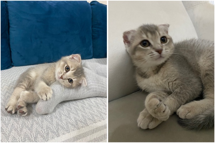 Benim kizim buyumus degil mi abileri ablalari 😸?