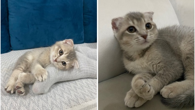 Benim kizim buyumus degil mi abileri ablalari 😸?