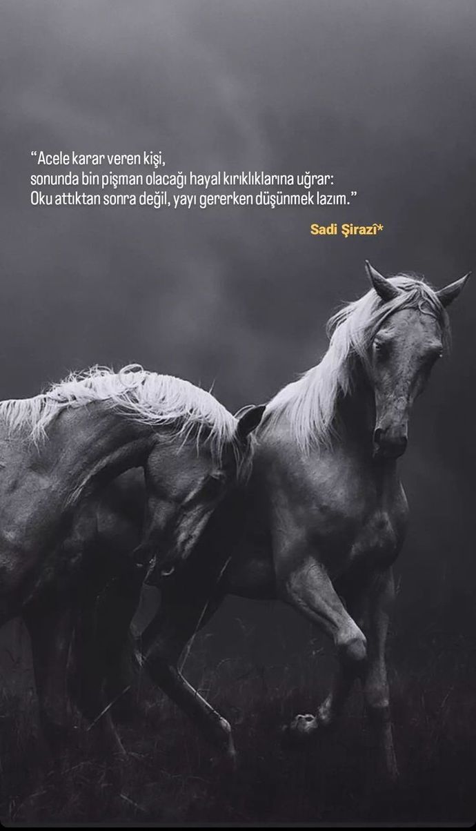 Karar verirken aceleci davranır mısınız? Yoksa bir oturup düşünelim mi dersiniz?