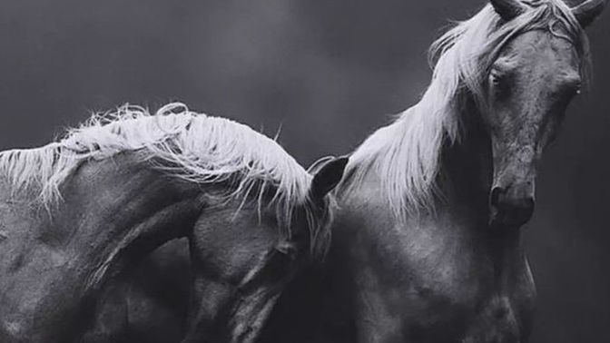 Karar verirken aceleci davranır mısınız? Yoksa bir oturup düşünelim mi dersiniz?