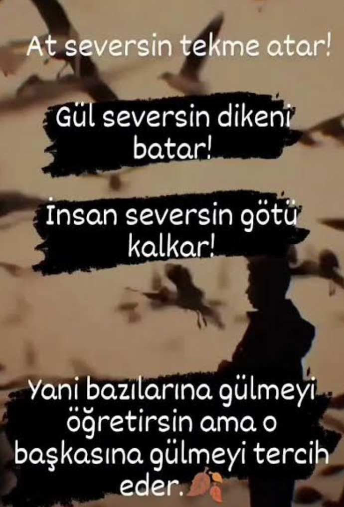 Karşı cınste degıştıremedıgın ne oldu?