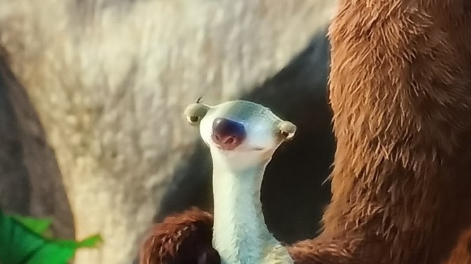Gündelik hayatta en çok hangi duyguyu hissediyorsunuz?