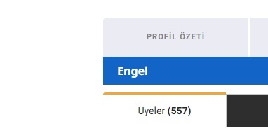 Engel listenizin ortak özelliği nedir?