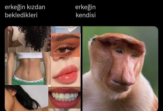 Çok doğru değil mi ya?