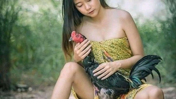 Horozu çok olan köyün sabahı nasıl olur?