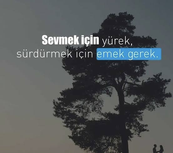 Sevmek mi zor yoksa sevgiyi sürdürebilmek mi?
