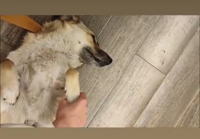 Temas bağımlısı biri misin?