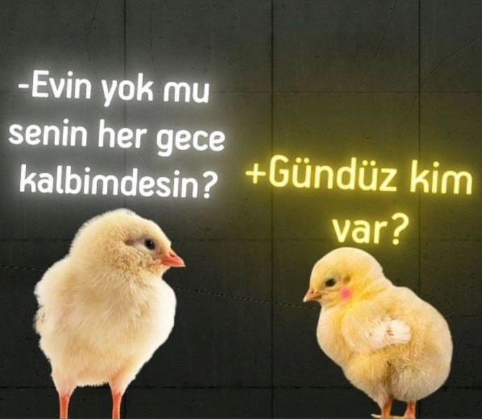 Haklı trip jsjsjd