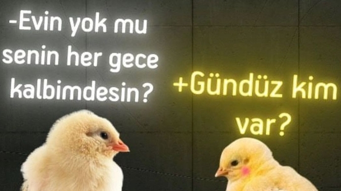 Trip atacak bir konu illa ki bulur musunuz?