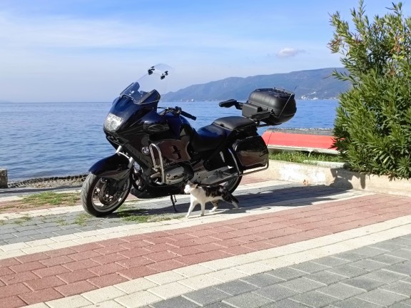 Hangi tarz motosiklet seviyorsunuz?