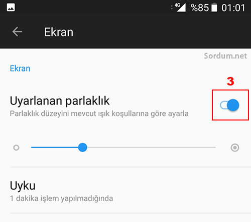 Adı gündemden düşmüyor! Banu Parlak gözaltına alındı. Ne düşünüyorsun?
