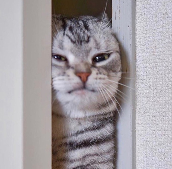 Yakışıklı erkeklerin ablası olacak yaşa mı geliyorum neee 😂