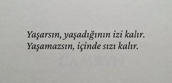 Senin kavgan kiminle neyle?