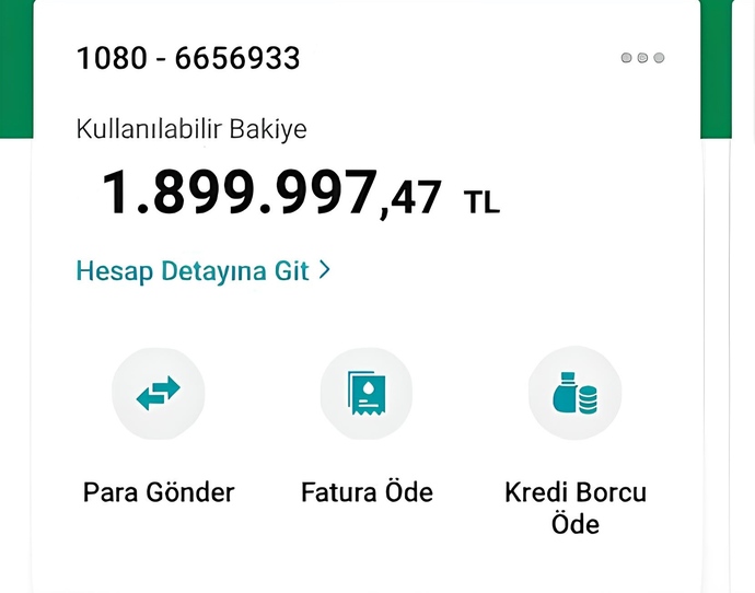 Şu an banka hesabınızda kaç kaç lira var (isteyen fotoğraf yükleyebilir)?