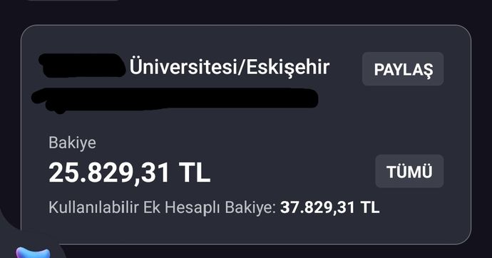 Şu an banka hesabınızda kaç kaç lira var (isteyen fotoğraf yükleyebilir)?