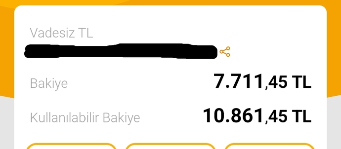 Şu an banka hesabınızda kaç kaç lira var (isteyen fotoğraf yükleyebilir)?