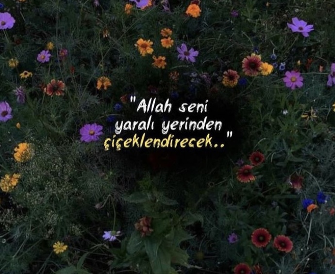 Bu gerçek mi bak ben inanırım😄