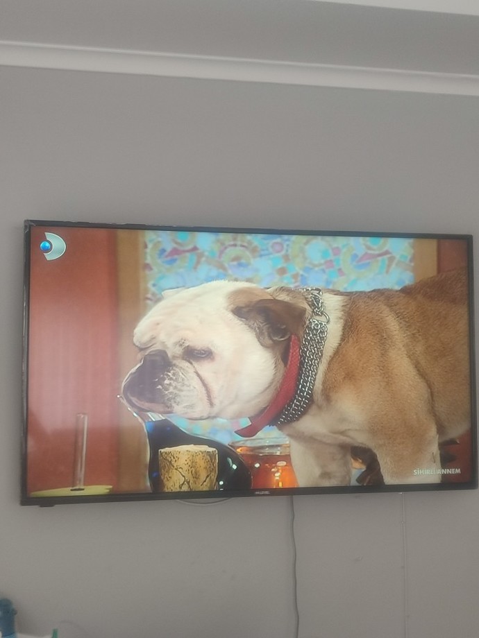Günaydın, sabah uyandınız ve tv de bu dizi naparsınız?