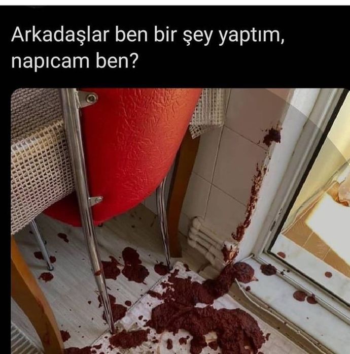 Sosyal medyayı en çok kadınlar mı daha aktif kullanıyor, erkekler mi?