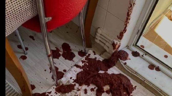 Sosyal medyayı en çok kadınlar mı daha aktif kullanıyor, erkekler mi?
