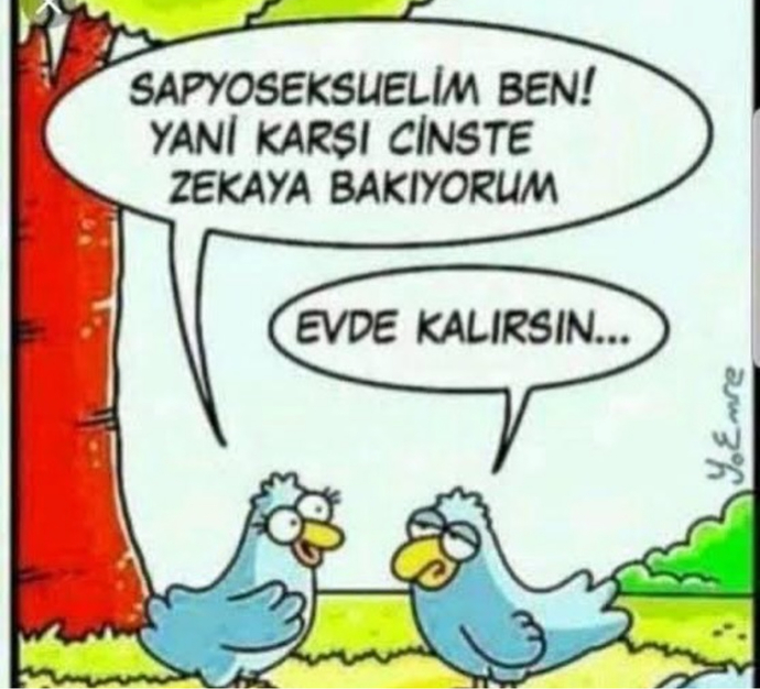Karşı cinste olmazsa olmaz dediğiniz özellik nedir?