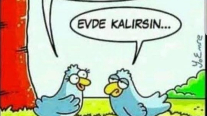 Karşı cinste olmazsa olmaz dediğiniz özellik nedir?