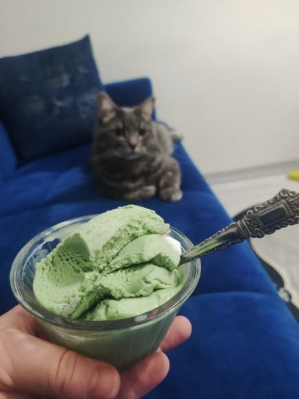 Dondurma severmisiniz?