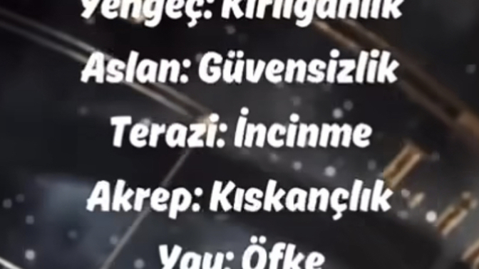 Hangi burç hangi duygusunu saklar?