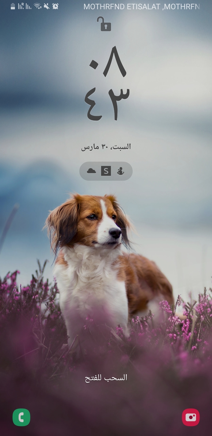 Telefon kapağın da ne var?