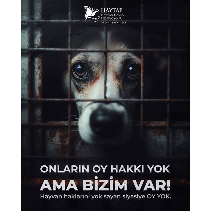 Ölüm pahasına bile savaşabileceğiniz büyük bir tutkunuz var mı?
