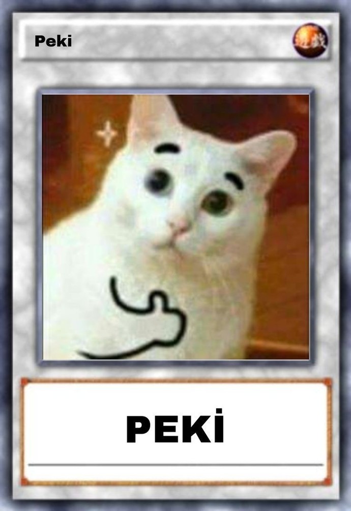 Hangi kelimeyi çok kullanıyorsunuz?