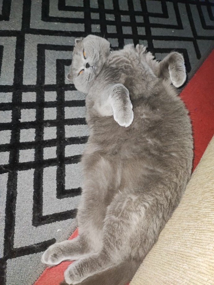 Çektiğiniz son üç fotoğrafı buraya atsaydınız ne görmüş olurdum?