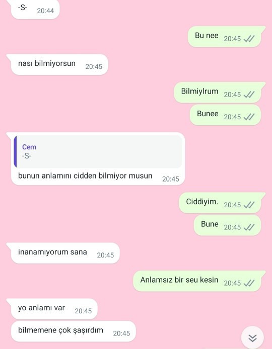 -S- ne demek arkadaşlar?