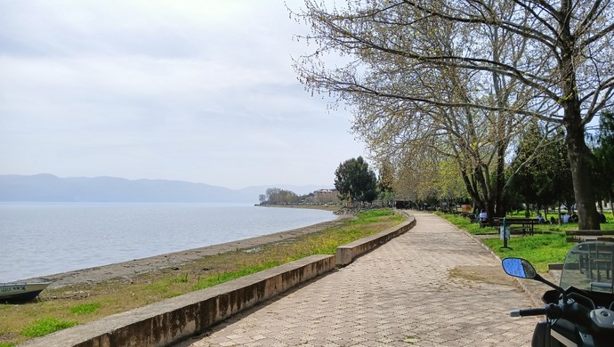 Oy kullanmaktan daha mükemmel bir pazar aktiviteniz var mı?