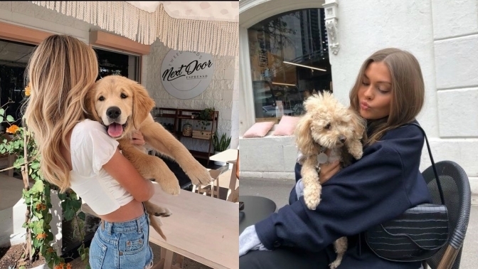 Köpeğin olsa adını ne koyarsın?