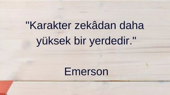 Zekâ herşeye yeter mi sence?