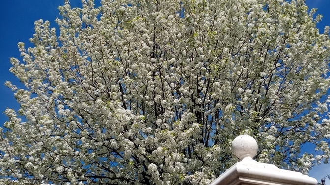 Güneşli hava sever misiniz?