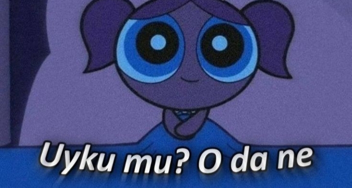 Gece uyumak mı daha iyidir yoksa gündüz mü?
