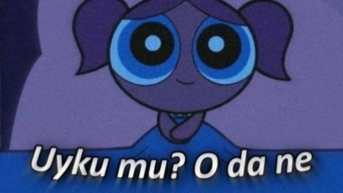 Gece uyumak mı daha iyidir yoksa gündüz mü?