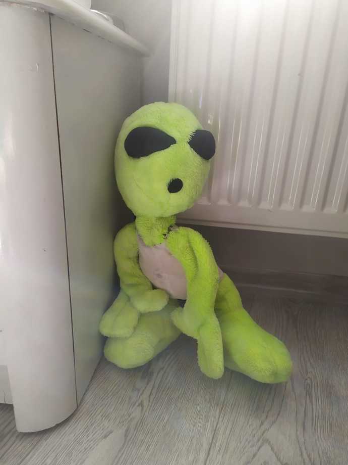 Sitede ki herkese mesaj atan uzaylı admini yakaladım onu ne yapmalıyım 👽💞🛸🦄?